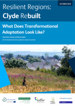Literature Review Synthesis – What does transformational adaptation look like?