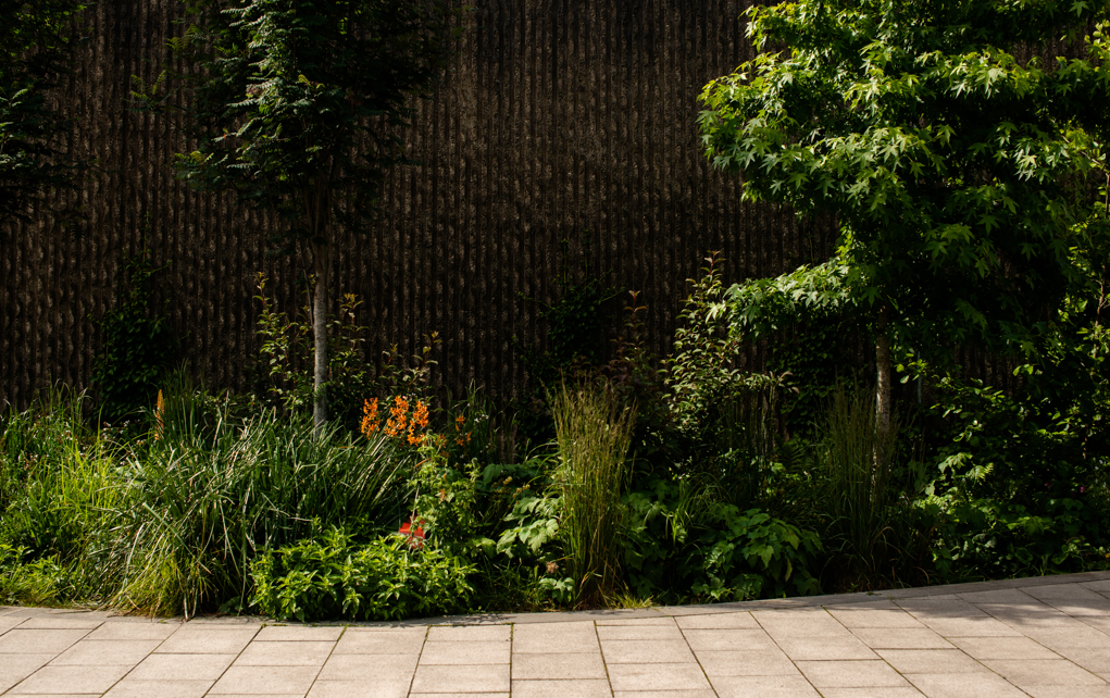 Green planting in Sheffield
