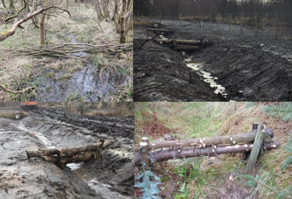 Leaky damns created with wood in the natural enviroment.