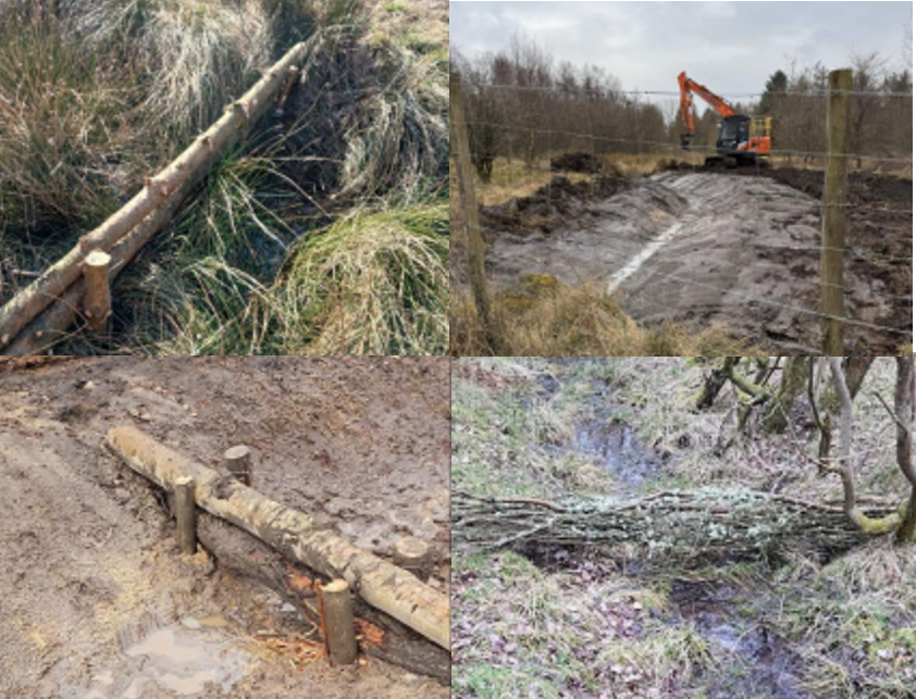 Leaky damns created to slow ditch flows